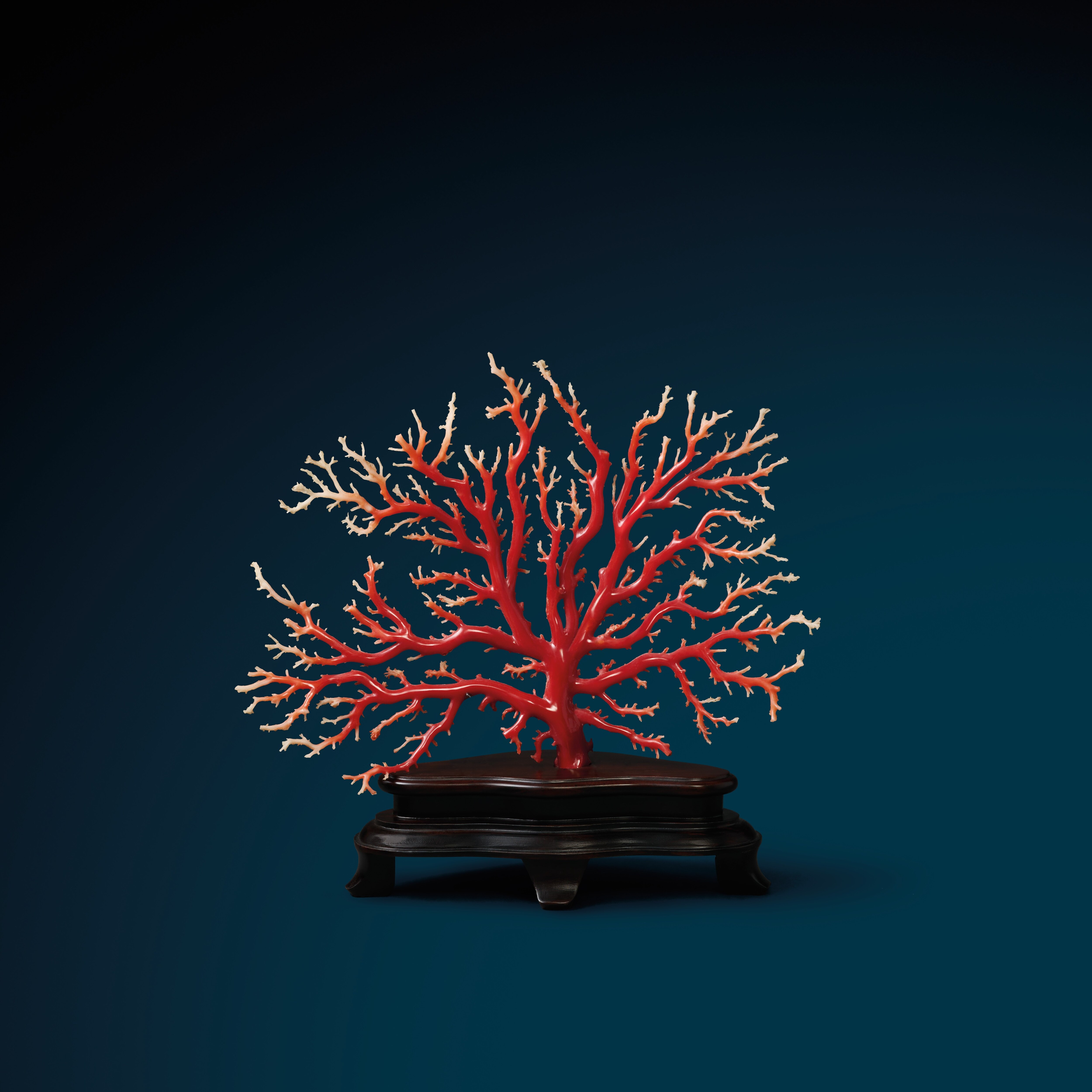 深珊藏珍」探索L'ÉCOLE 珠寶藝術學院最新展覽- Van Cleef & Arpels